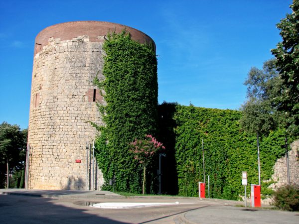Muralla medieval. Girona.
