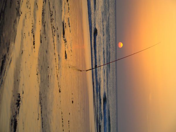 Atardecer en el Palmar
Playa del Palmar
Palabras clave: Andalucía,Cádiz,Playa,contraluz,mar