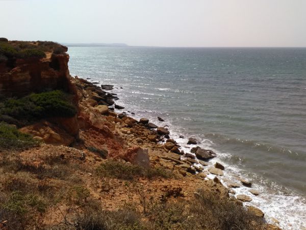 Cala de Roche
Palabras clave: Playa,mar,Cádiz,acantilado