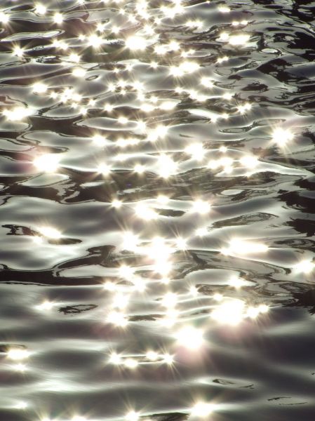 reflejos en el agua
reflejos en el agua
Palabras clave: reflejos,agua,luz,brillo