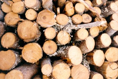 troncos
troncos apilados
Palabras clave: madera,tronco,serrería,leña