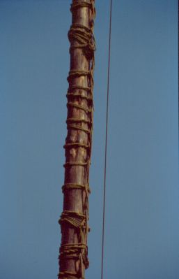 tronco con cuerdas
