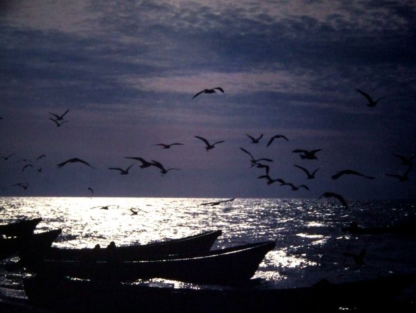 Vista nocturna playa de Yucatán
Palabras clave: barcos,noche,atardecer,contraluz,pájaros,barca,Méjico