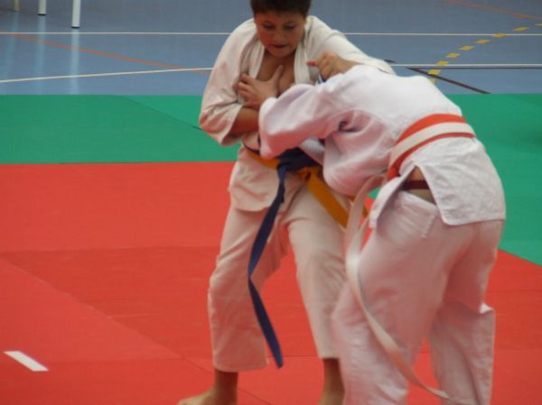 Judo
Palabras clave: judo,artes marciales