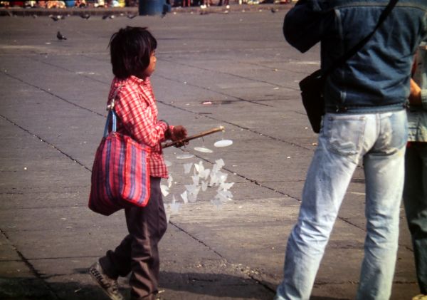 niño vendiendo souvenirs
plaza de la catedral de Méjico
Palabras clave: Méjico,plaza de la constitución