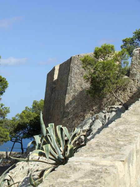 muralla
Castillo de Santa Bárbara (Alicante)
Palabras clave: aloe