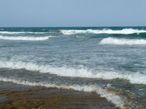 olas
playa de La Mata (Alicante)
Palabras clave: playa,orilla,olas,mar