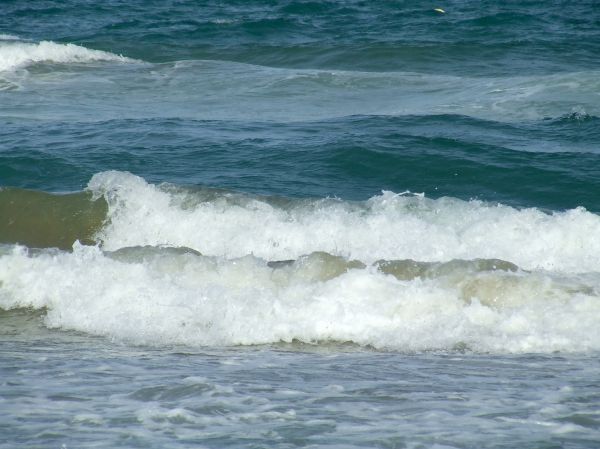 olas
playa de La Mata (Alicante)
Palabras clave: playa,orilla,olas,mar