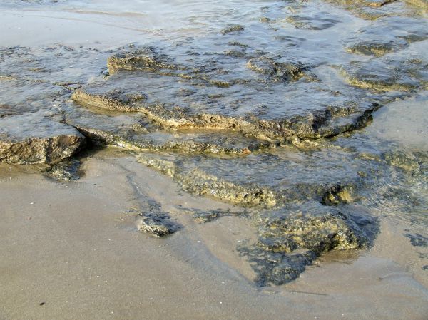 orilla
playa de La Mata (Alicante)
Palabras clave: playa,orilla,olas,mar,rocas