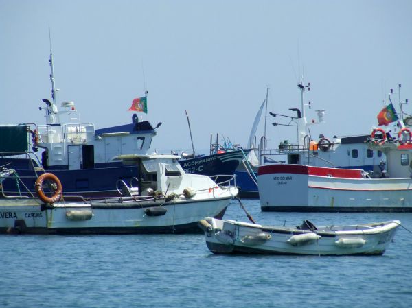barcos pesqueros
Palabras clave: Portugal,Lisboa,barco balandro,yate