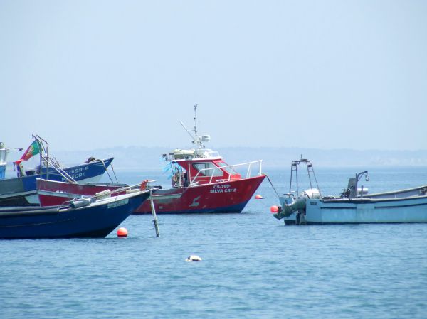 barcos pesqueros
Palabras clave: Portugal,Lisboa,barco balandro,yate