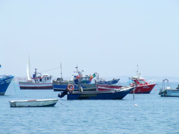 barcos pesqueros
Palabras clave: Portugal,Lisboa,barco balandro,pesca pesquero
