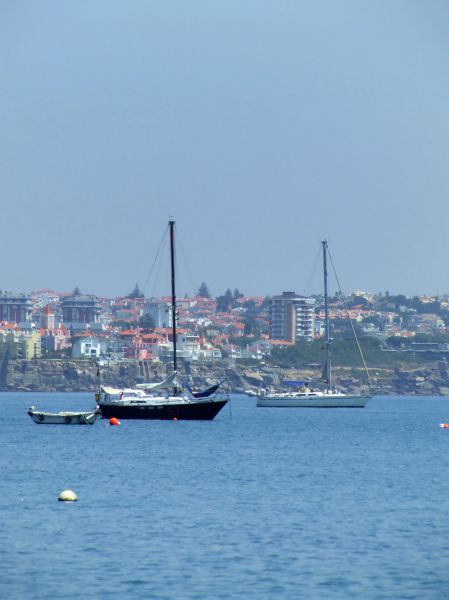 velero
Palabras clave: Portugal,Lisboa,barco balandro
