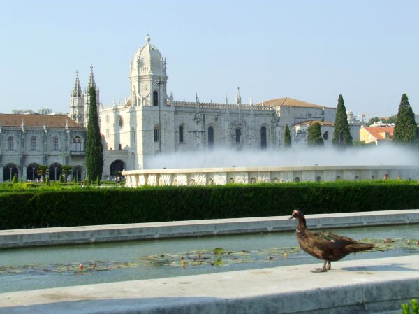 Monasterio de los Jerónimos
Palabras clave: agua,estanque,ave,ánade,Portugal