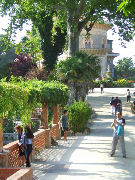 Palacio de Monserrat
jardines
Palabras clave: Sintra,Portugal,palacio
