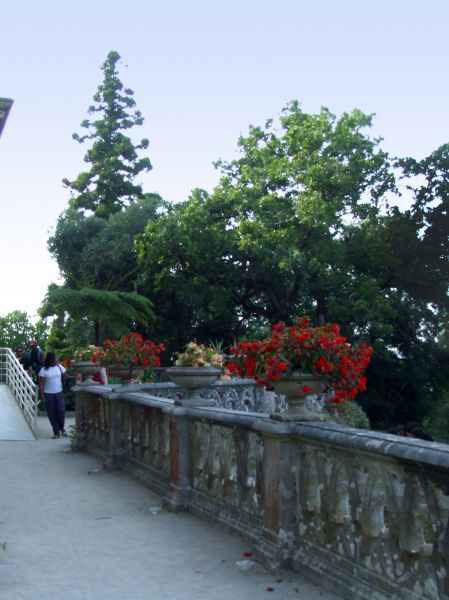 Palacio de Monserrat
balaustrada
Palabras clave: Sintra,Portugal,palacio