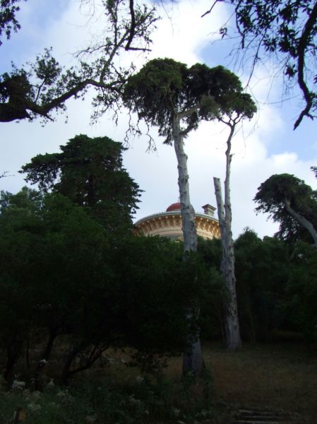 Jardines palacio de Monserrat, Sintra
Palabras clave: Portugal,paisaje,árboles