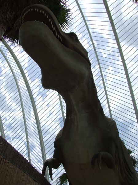 tiranosaurio rex
Palabras clave: Dinosaurio