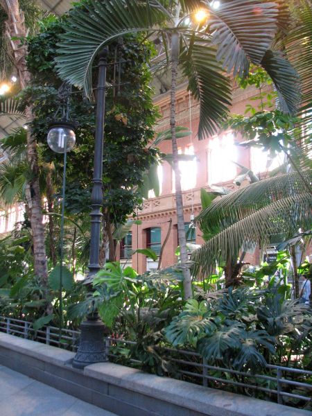 Madrid. Estación de Atocha. Jardín Tropical.
