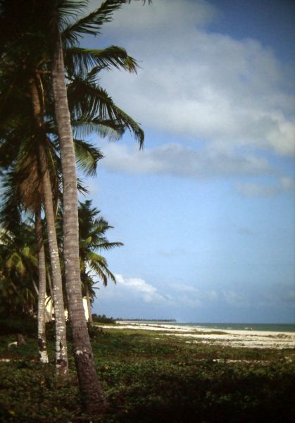 Playa de Cancún
