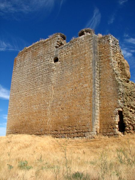 Ruinas castillo. Villagarcia de Campos (Valladolid)
Palabras clave: Ruinas castillo. Villagarcia de Campos (Valladolid)