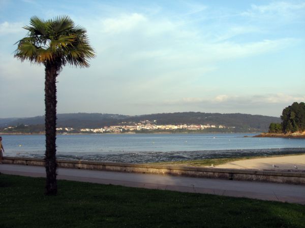 Sada (A Coruña).
Palabras clave: Sada (A Coruña). playa palmera