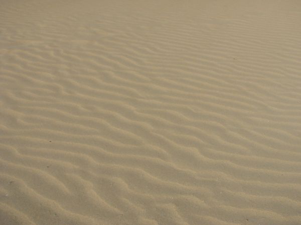 arena
Palabras clave: desierto,arena