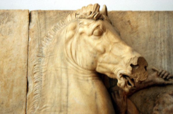 Cabeza de caballo. Museo Arqueológico de Atenas. Grecia.
Palabras clave: Cabeza de caballo. Museo Arqueológico de Atenas. Grecia.