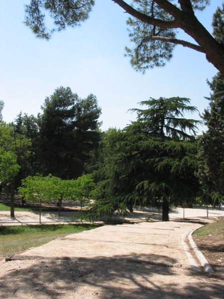 Madrid. Parque Quinta de los Molinos. San Blas.
Palabras clave: Madrid. Parque Quinta de los Molinos. San Blas.