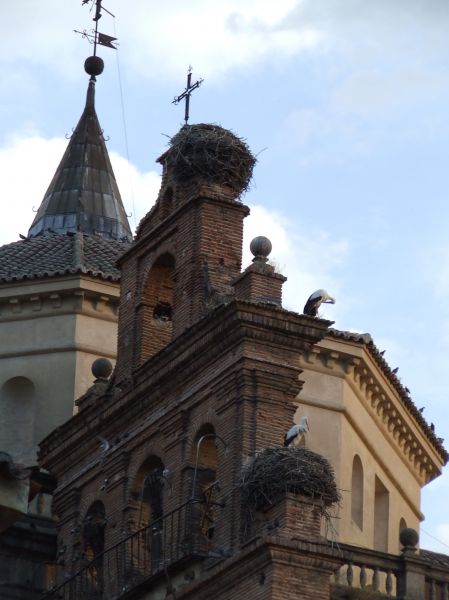 Iglesia de San Prudencio. Talavera de la Reina (Toledo).
Palabras clave: Iglesia de San Prudencio. Talavera de la Reina (Toledo). cigüeñas