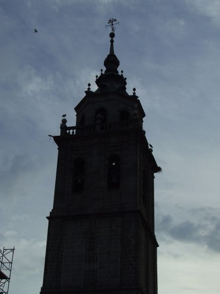Campanario de la Iglesia de Santa Maria la Mayor. Talavera de la Reina (Toledo).
Palabras clave: Campanario de la Iglesia de Santa Maria la Mayor. Talavera de la Reina (Toledo).