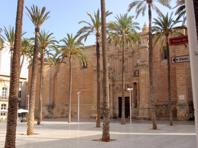 Catedral
OLYMPUS DIGITAL CAMERA
