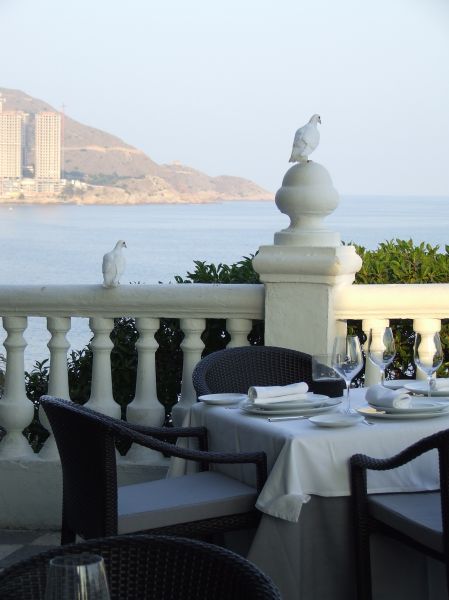 comida romántica
Palabras clave: palomas,Benidorm,barandilla,mar,restaurante,terraza