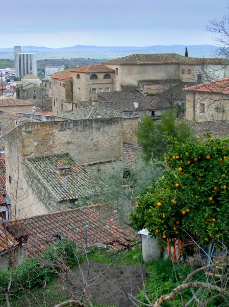 Trujillo
vista desde el casco histórico
Palabras clave: Cáceres,extremadura,turismo rural
