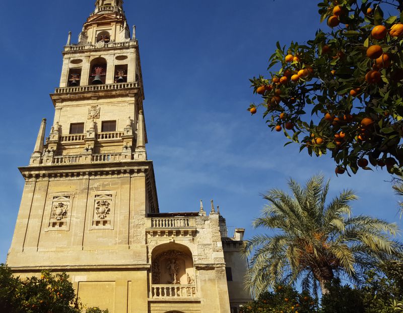 Torre
Mezquita-catedral
Palabras clave: Andalucía,Córdoba,Abderramán III