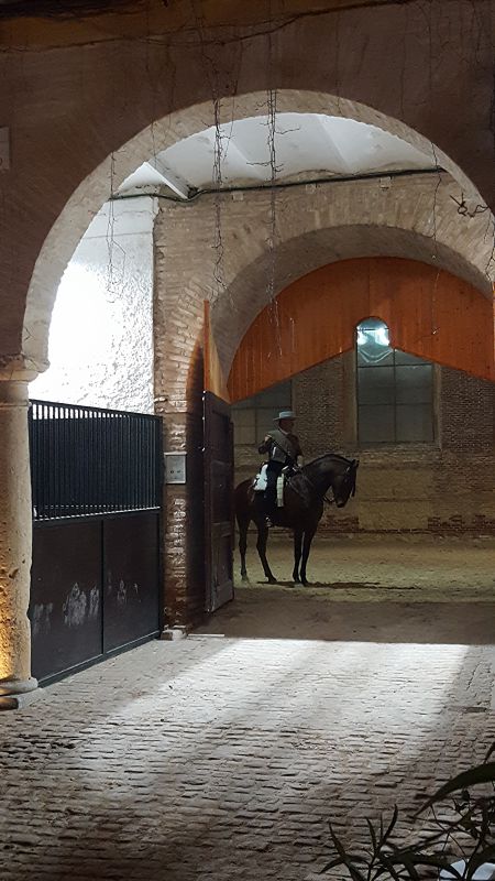 Caballerizas reales
Palabras clave: Andalucía,Córdoba,caballo