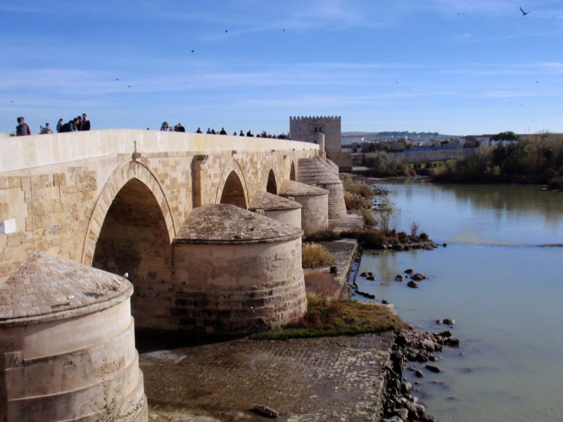 Puente romano
OLYMPUS DIGITAL CAMERA
Palabras clave: Andalucía,Córdoba,guadalquivir