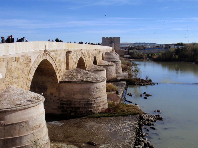 Puente romano
OLYMPUS DIGITAL CAMERA
Palabras clave: Andalucía,Córdoba,guadalquivir