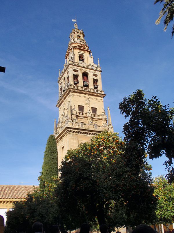 torre de la Mezquita-catedral
OLYMPUS DIGITAL CAMERA
