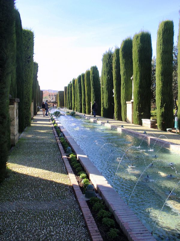 Jardines Alcázar de los reyes cristianos
OLYMPUS DIGITAL CAMERA
