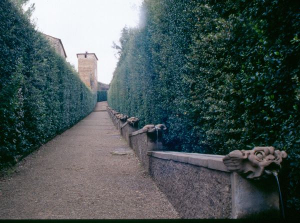 Jardines Boboli. Florencia. Italia.
Palabras clave: Jardines Boboli. Florencia. Italia.