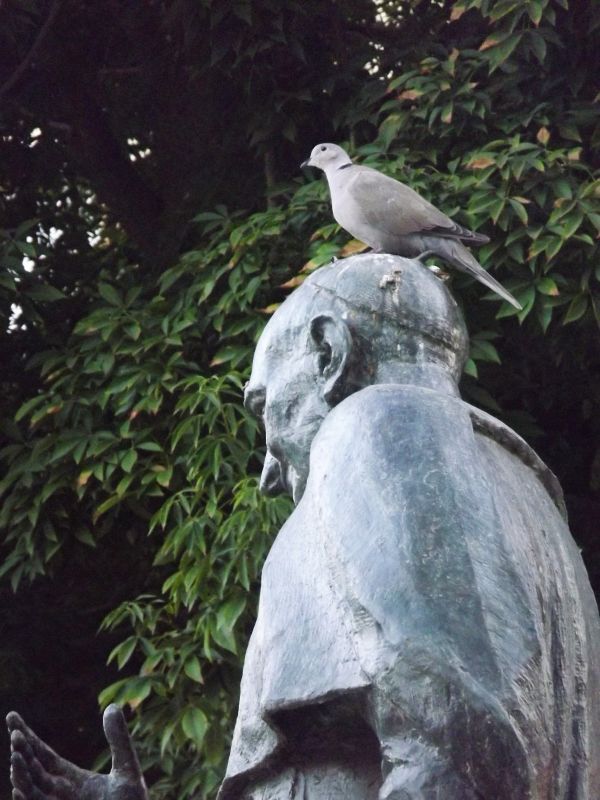 estatua con paloma
Palabras clave: parque