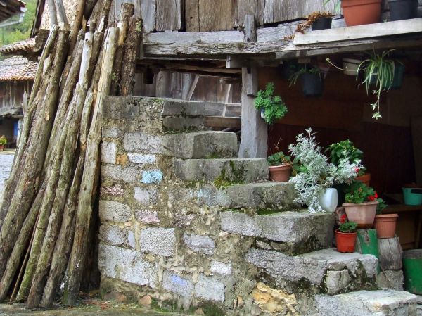 Asturias
Palabras clave: asturias,  rural, bodegón, escaleras, macetas
