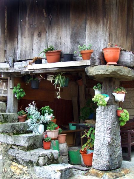 Asturias
Palabras clave: asturias,  rural, bodegón, escaleras, macetas
