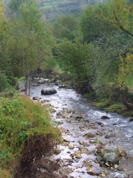 Asturias
Palabras clave: asturias, paisaje, rio