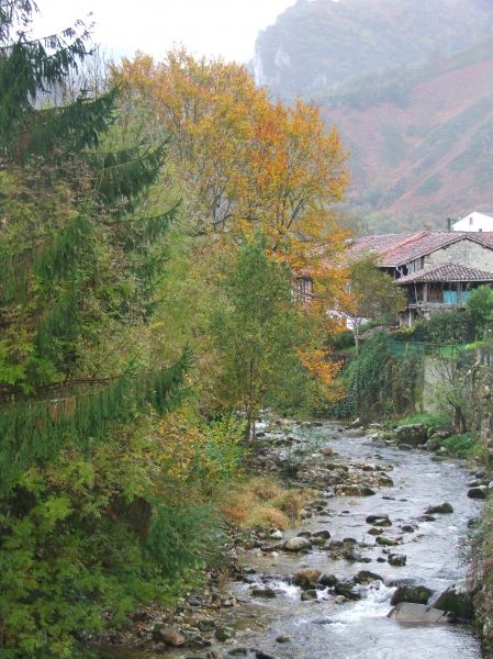 Asturias
Palabras clave: asturias,  rural, paisaje, rio