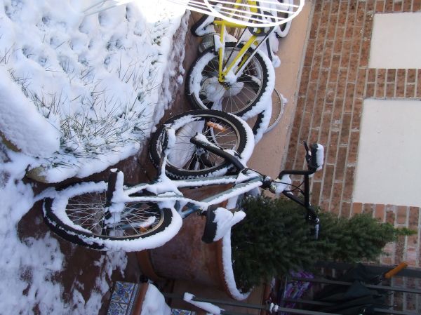 bicicletas en la nieve
Palabras clave: bicicleta,nieve