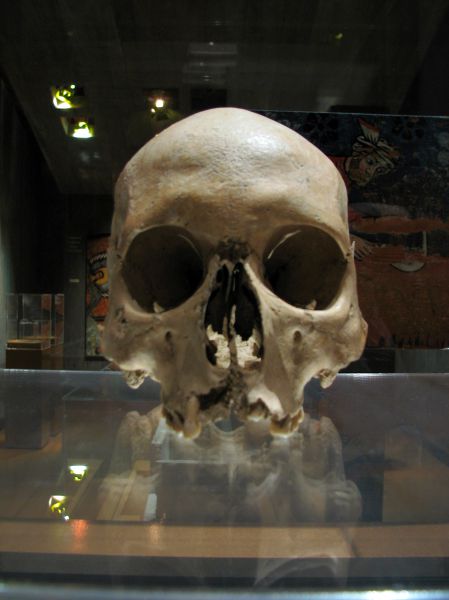 Cráneo. Museo de Perelada. Girona.
