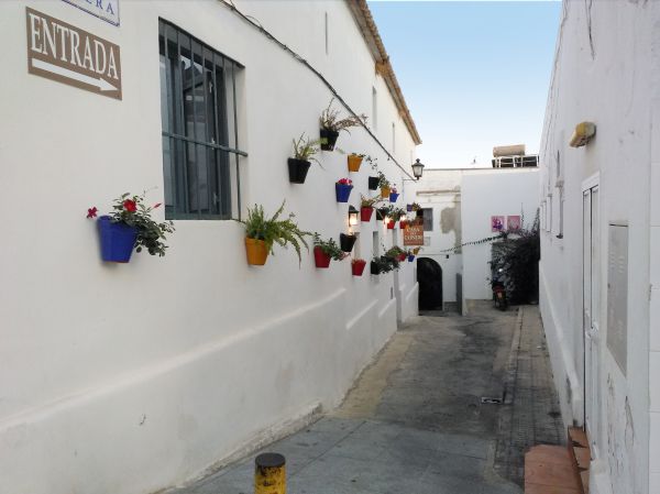 calle
Palabras clave: Conil,Andalucía,Cádiz,macetas