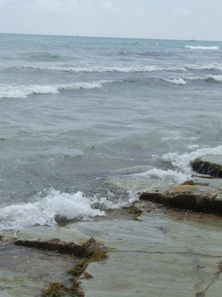 DSCF4172.JPG